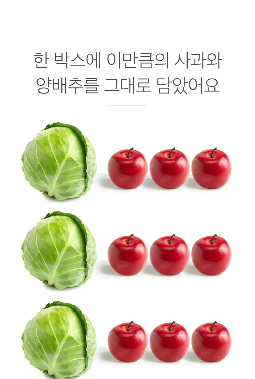 [NEW]주스의정석 ABC/CCA/양배추사과즙 100ml 3종 택1 상세페이지 64
